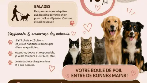 Promenade chiens 🐶