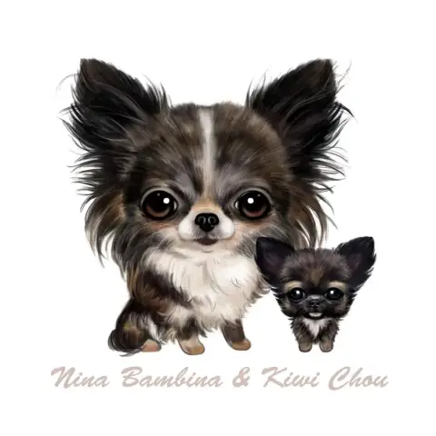 Chihuahua  Bratz Poupée Jade Des Minis Bombes