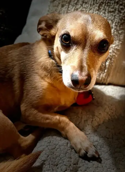 Jack photo 2