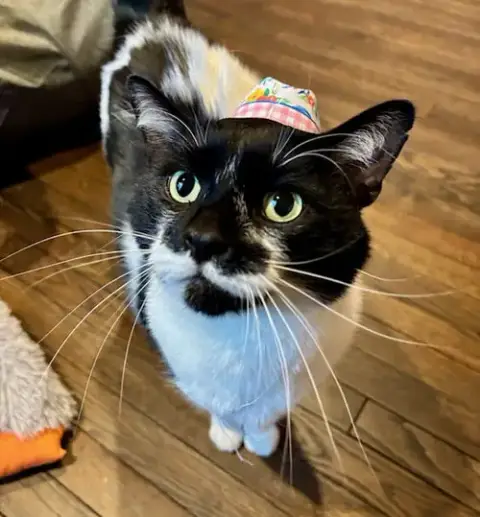 Mr. Kiki photo 2