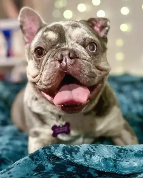 Mabel photo 2