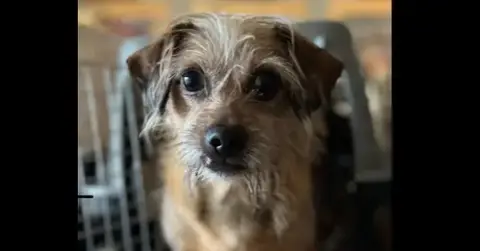 Toto~