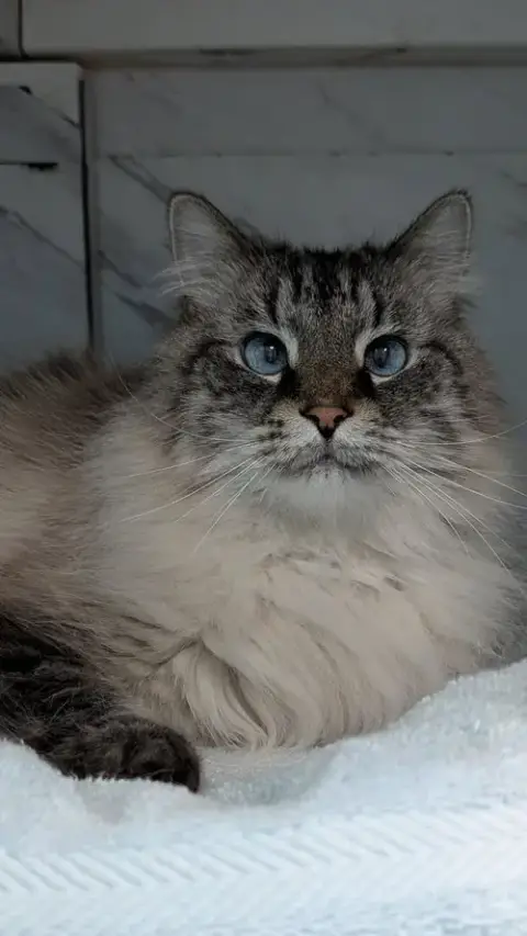 Charlie photo 3