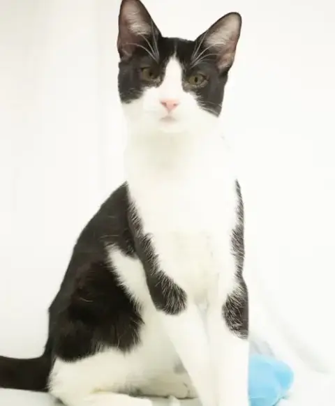 Sebastian photo 2