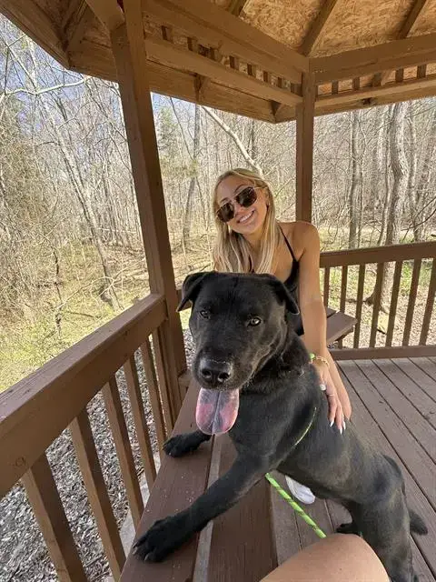 Perrito