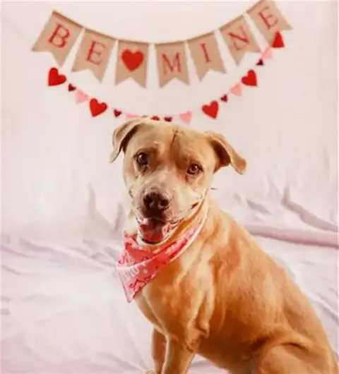 Tito