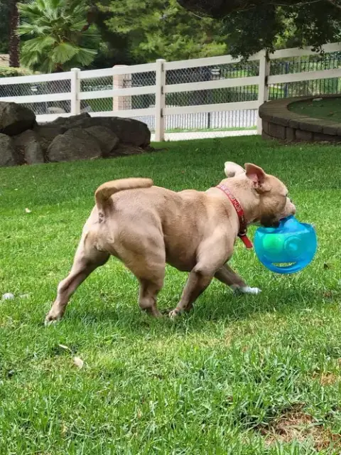 Karma photo 4