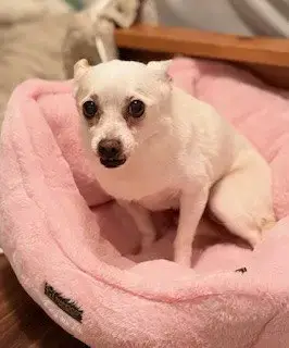 Matilda