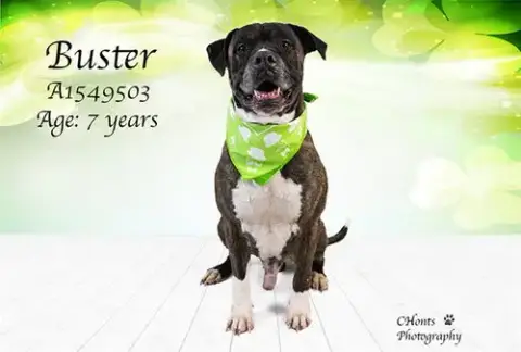 Buster