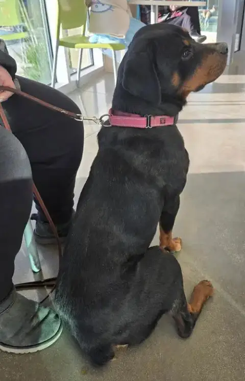 Penny photo 2