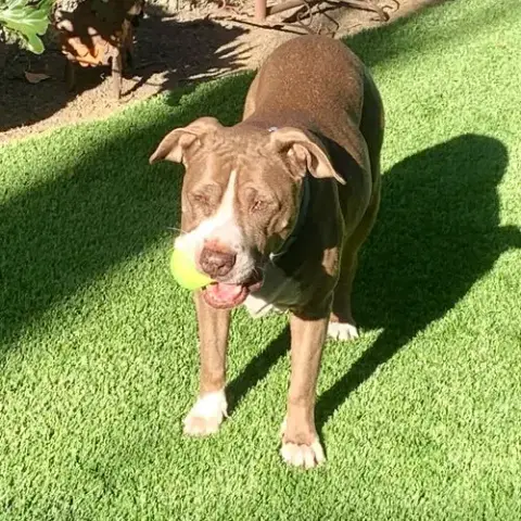Bebe photo 3