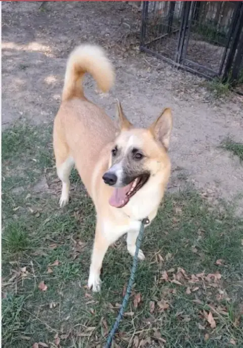 Bella photo 2