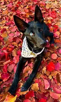 Autumn photo 2