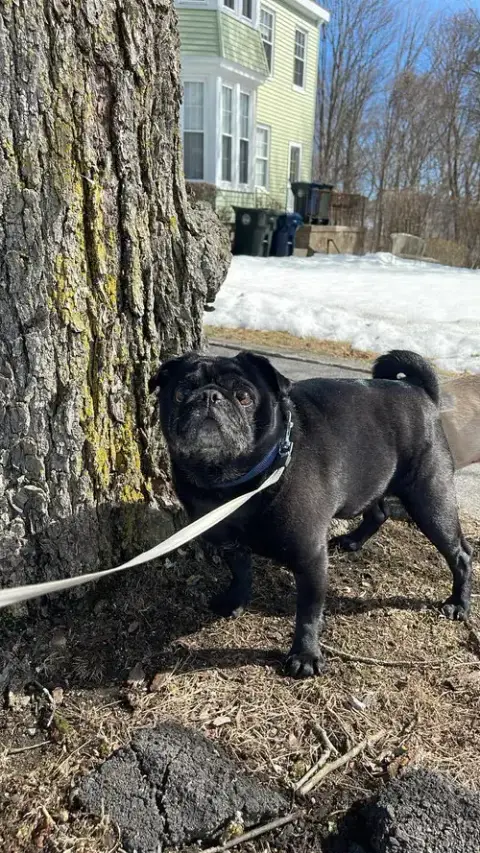 Bruce photo 4