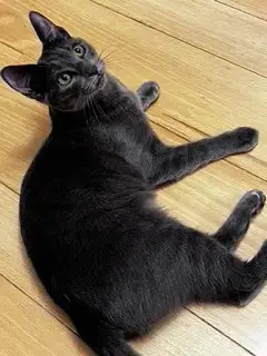 Casper photo 2