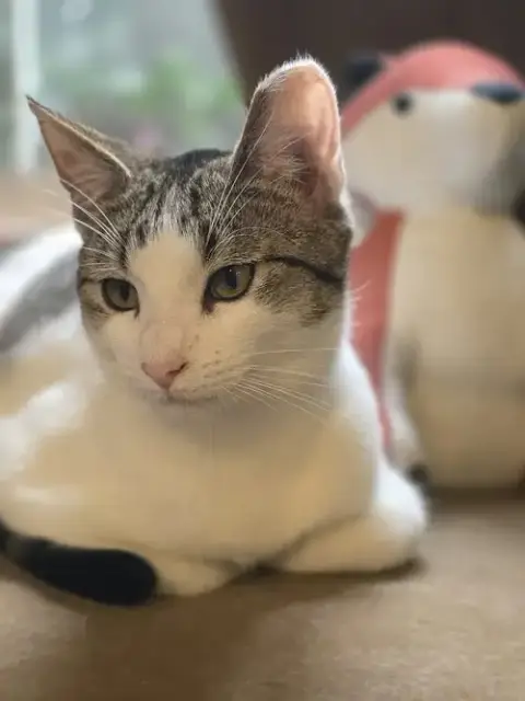 Kitty Taylor photo 2