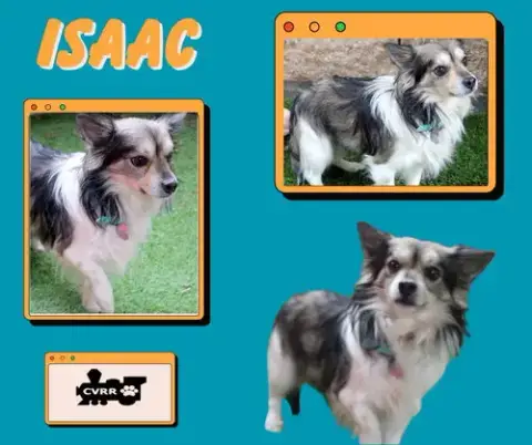 Isaac