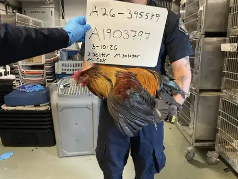 A1903797