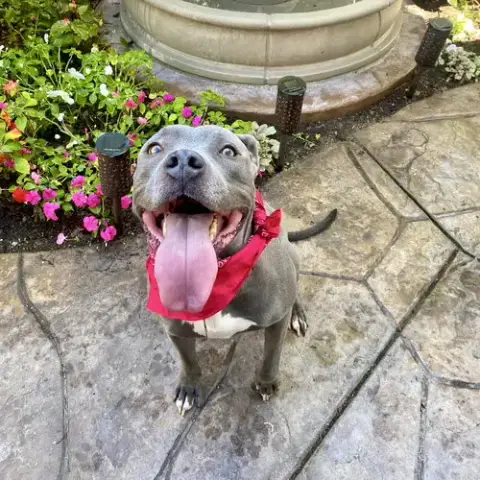 Gigi photo 3