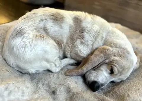 Mollie Mae photo 4
