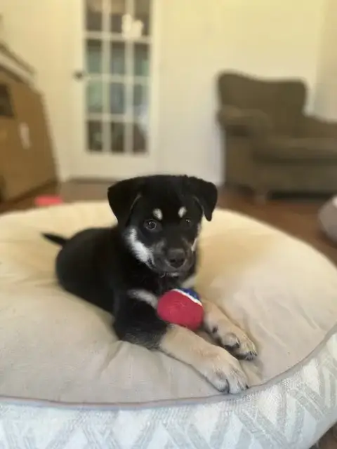 Parker photo 5
