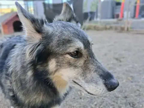 Ella