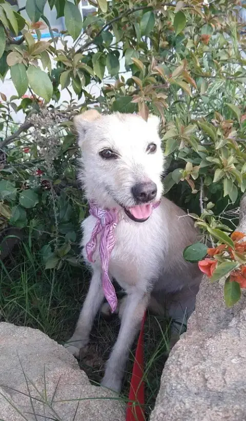 Frida photo 5