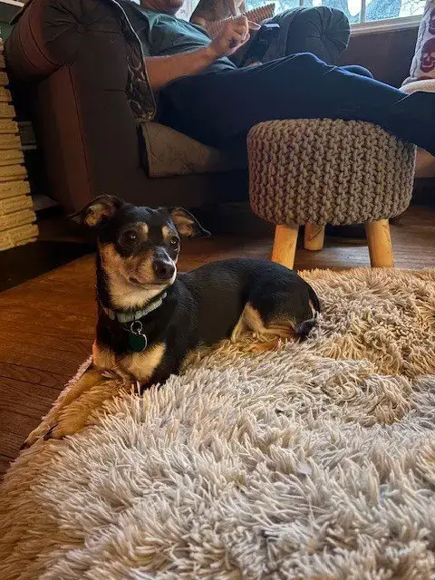 Alfred
