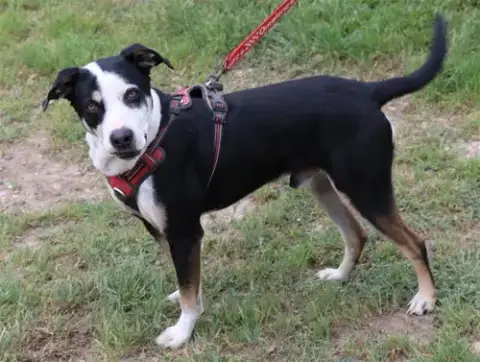 Max photo 2