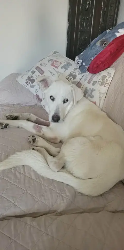 Noelle photo 4