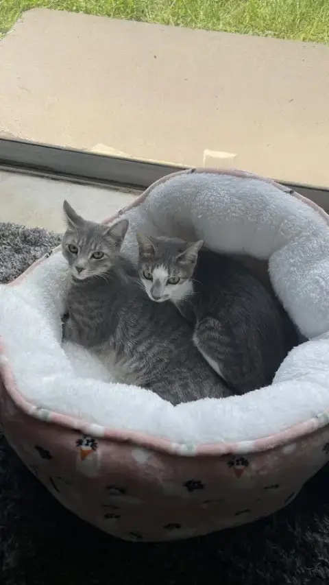 Courtesy Post: Luna And Sophie