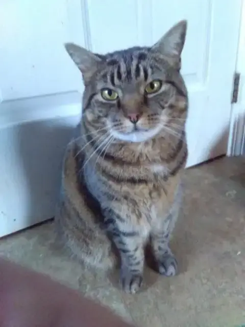 Sybil photo 2