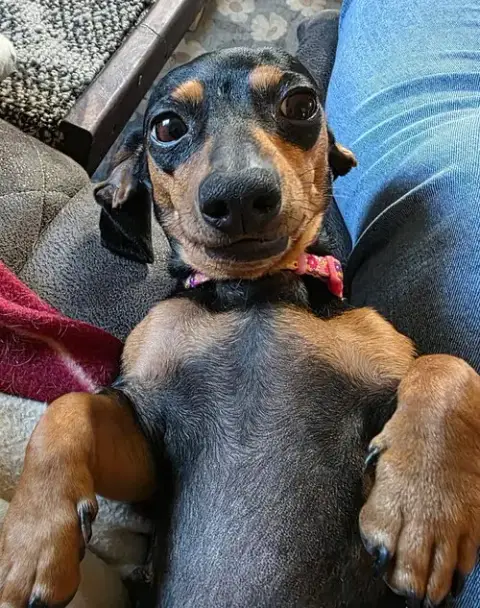 Gemma In Wi photo 2