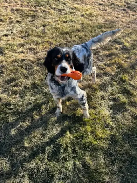 Taco Dogler photo 4