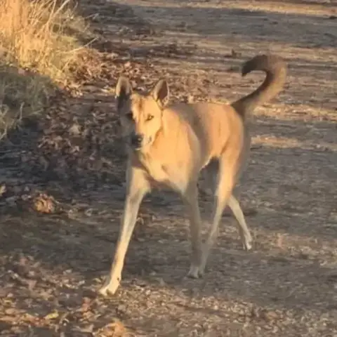 Diego photo 4