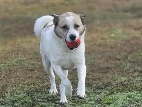 Max photo 3