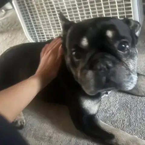 Hercules photo 2