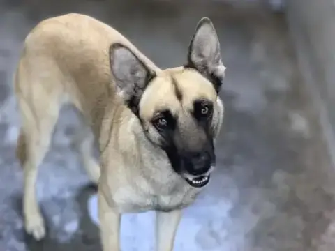 Luna
