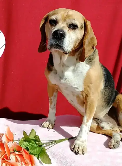 Louie-He'S Got A Sponsor! photo 5