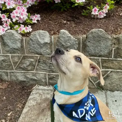 Mitzi photo 3
