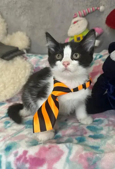 Gabriel