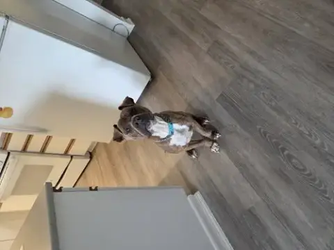Zeus photo 3