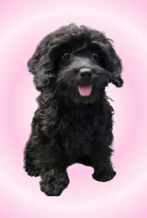 Harriet photo 2
