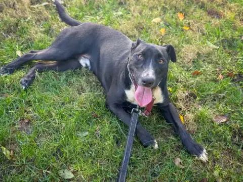 Murphy photo 3
