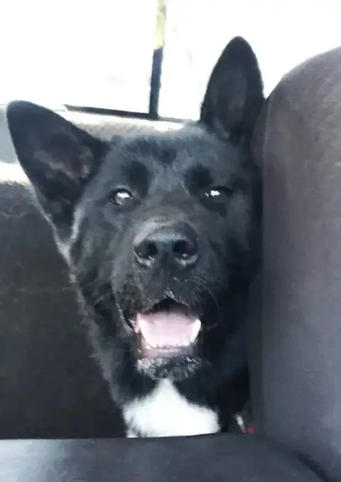 Micah photo 3