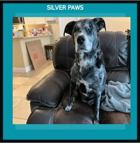Blu *