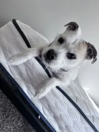 Coco photo 3