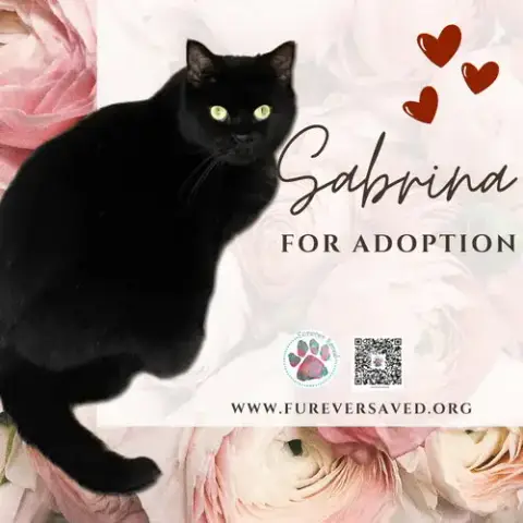 Sabrina photo 3