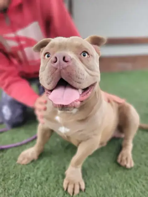 Benny