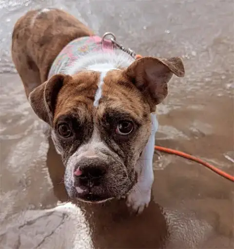 Mabel photo 3